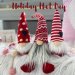 Holiday Hat and Crazy Hair Day